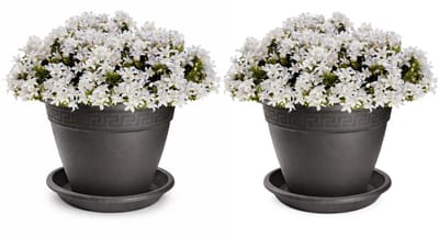Plasticforte 2x plantenpot met opvang schaal - antraciet - rond - D30 x H23 cm - kunststof - buiten - tuin - bloempot