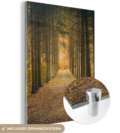 MuchoWow® Glasschilderij 30x40 cm - Schilderij acrylglas - Pad - Bomen - Bos - Foto op glas - Schilderijen