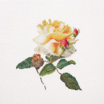 Thea Gouverneur - Borduurpakket met telpatroon - 416 - Voorgesorteerde DMC Garens - Roos Release - Linnen - 25 cm x 25 cm - DIY Kit