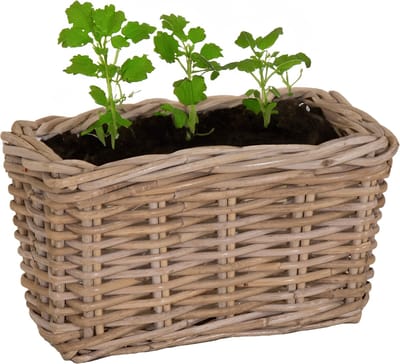 Mega Collections Planten/bloemen mand Levi - rotan - rechthoekig - naturel - 30 x 15 x 17 cm - plantenpot voor buiten