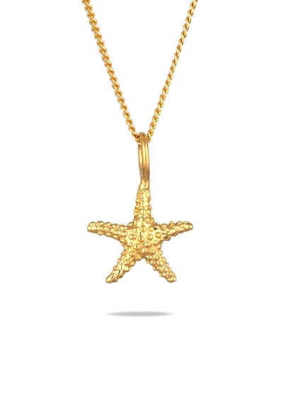 Elli - Halsketting - Ketting Vrouwen Zeester Hanger Pantserketting 925 Sterling Zilver Verguld Zomer / Strand Goud 45 cm - Dames