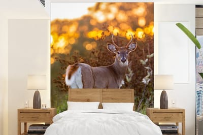 Behang - Fotobehang Hert - Planten - Zonsondergang - Wilde dieren - Natuur - Breedte 175 cm x hoogte 240 cm