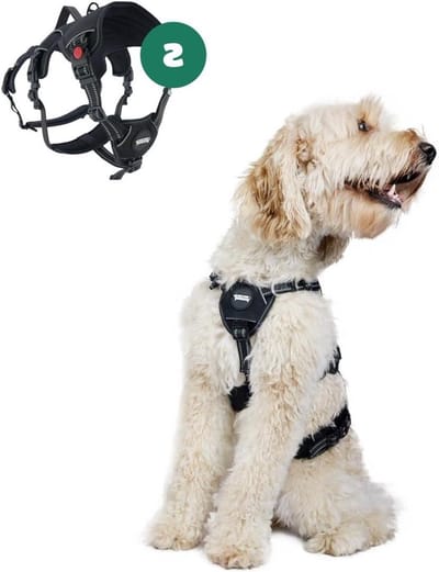 Hondentuig Anti-Ontsnapping - Veiligheidstuigje Hond - Veilig Wandelen - Extra Nekclip - Maat S - Zwart