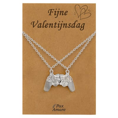 Koppel Ketting voor 2 'Fijne Valentijnsdag' - Controller - Vriendschapsketting op Cadeau Kaartje - 45cm + 5cm verstelbaar - Zilverkleurig - BFF Hanger - Pax Amare