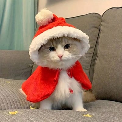 1-delig Kostuum - Rood en Wit Kerstman Kostuum Medium Katten, Faux Fur en Vlinderdas, Zacht Nylon Feestdagen Huisdierkostuum, Nieuwjaarsfoto Essentieel L rood