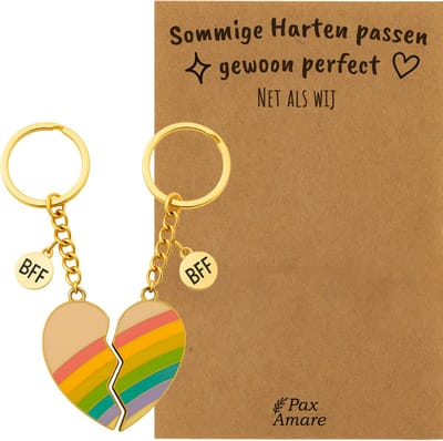 BFF Sleutelhanger voor 2 'Sommige harten passen perfect' - Magnetisch Regenboog Hartje - Sleutelhanger set op Cadeau Kaartje - Goudkleurig - Vriendschap Symbool - Pax Amare