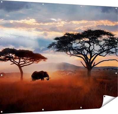 Gards Tuinposter Olifant in het Wild - Savanne - 150x120 cm - Tuindoek - Tuindecoratie - Wanddecoratie buiten - Tuinschilderij