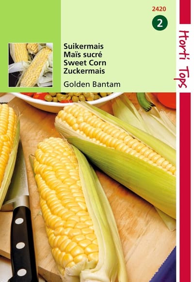 2 stuks Hortitops Suikermais Golden Bantam
