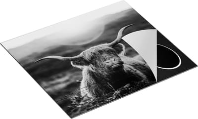 Chefcare Inductie Beschermer Schotse Hooglander Koe in de Zon - Zwart Wit - 60x50 cm - Afdekplaat Inductie - Kookplaat Beschermer - Inductie Mat