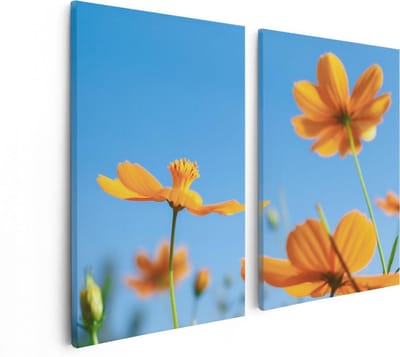 Artaza Canvas Schilderij Tweeluik Oranje Cosmea Bloemen - 80x60 - Foto Op Canvas - Canvas Print