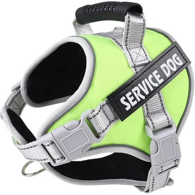 Harnas voor Hulphond met Gepersonaliseerd ID-label Verstelbaar Hondenharnas Hondentrui Riem voor Grote Honden Buitenhonden Trainingsaccessoires About 4-7kg dogs groen