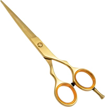 Guardian Beauty Schaar - 6 Inch - Roestvrij Staal - Knipschaar met Etui - Kappersgereedschap