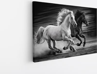 Saammp Canvas Schilderij - 2 paarden - Zwart - Wit- Dieren - Natuur - 45x30 - Foto op canvas - Wanddecoratie - muurdecoratie Woonkamer - Slaapkamer decoratie - Canvas Print