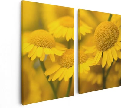 Artaza Canvas Schilderij Tweeluik Gele Kamille Bloemen - 80x60 - Foto Op Canvas - Canvas Print