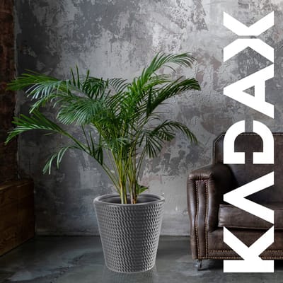 KADAX Bloempot, bloempot van kunststof in 3 kleuren, weerbestendige bloempot met mat oppervlak, outdoor plantenbak (antraciet ø 40 cm)
