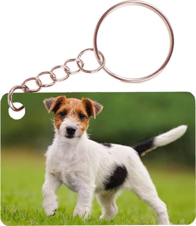 Sleutelhanger 6x4cm - Jack Russel Terrier Hond
