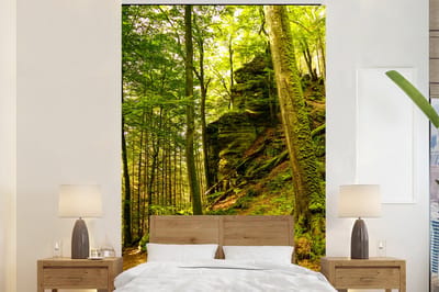 Behang - Fotobehang Bomen - Steen - Bos - Natuur - Planten - Breedte 170 cm x hoogte 260 cm