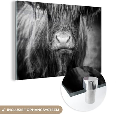 MuchoWow® Glasschilderij 150x100 cm - Schilderij acrylglas - Schotse Hooglander - Haar - Dieren - Foto op glas - Schilderijen