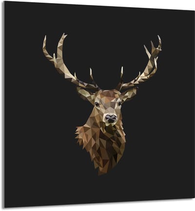 TMK ArtDeko Serie - Glas Keukenpaneel - 60x65cm - Gehard Glas - Meerdere Toepassingen