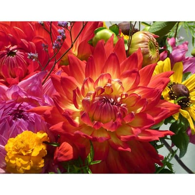 5D DIY diamant schilderij heldere bloemen borduurwerk mozaïek kruissteek strass decor 20X30CM red