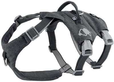 Hurtta Safeguard Harness - Anti Ontsnappingstuig - Kleur: Blackberry - Borstomvang: 40-50 cm