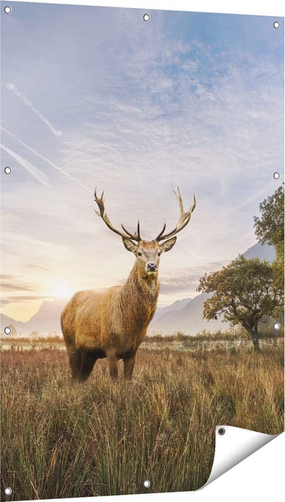Gards Tuinposter Hert in het Landschap - 80x120 cm - Tuindoek - Tuindecoratie - Wanddecoratie buiten - Tuinschilderij