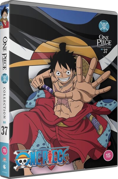 One Piece - Collection 37 - DVD - Import