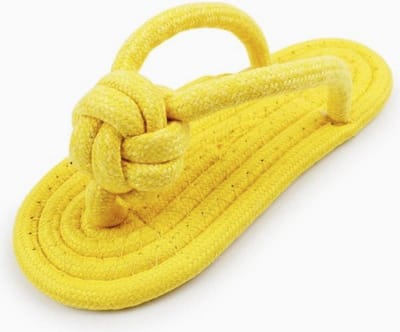 Nooit meer je eigen schoenen of slippers kwijt met dit honden speeltje
