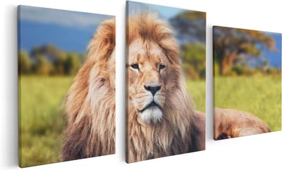 Artaza Canvas Schilderij Drieluik Leeuw - 120x60 - Foto Op Canvas - Canvas Print