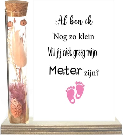 Droogbloemen in buisje | METER | roze | al ben ik nog zo klein | meter vragen | meter worden