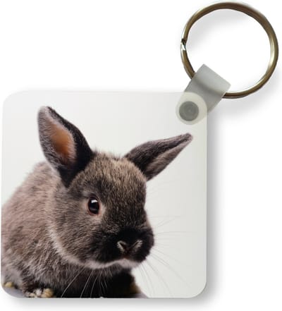 Sleutelhanger - Uitdeelcadeautjes - Konijn - Huisdier - Vacht - Portret - Plastic