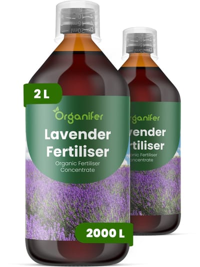 Vloeibare Meststof Voor Lavendel 2X1 L Voor 2000 L - Npk 2-1-8 - Bloeidichtheid - Geurintensiteit - Bloemkwaliteit - Droogtetolerant - Vochtregulatie - Bladkleur - Mediterrane Tuinen - Compacte Groei - Bloemaren - Organifer