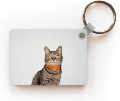 Sleutelhanger - Kat - Halsband - Oranje - Meisjes - Kinderen - Jongens - Kids - Uitdeelcadeautjes - Plastic