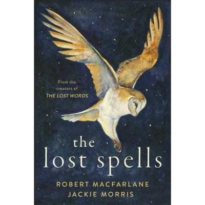 The Lost Spells by Jackie Morris Hardback Boek 9780241444641