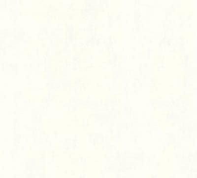 STRUCTUUR BEHANG | Basic - Crèmewit - A.S. Création Jade 2