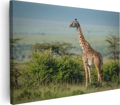 Artaza Canvas Schilderij Giraffe - 30x20 cm - Klein - Wanddecoratie Afrikaanse Savanne - Muurdecoratie Jungle - Kamer Accessoires Dieren