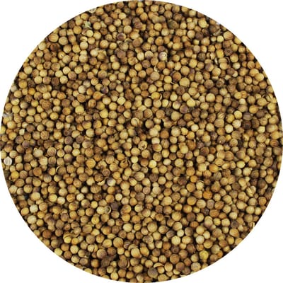 Van Beekum Specerijen - Koriander Heel - 10 KG - Zak (bulk verpakking)