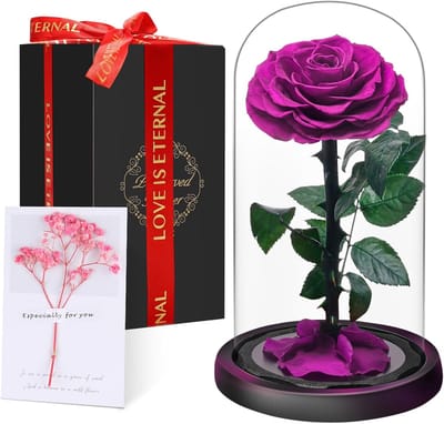 Bewaren Rozen - Eeuwige Bloem - Romantisch Cadeau - Echte Bewaarde Bloem - 13 x 13 x 20 cm - Paars