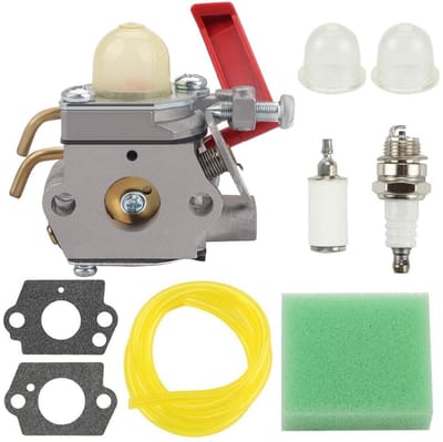 Dailygoods- Carburateuronderhoudsset voor Homelite - Carburateur reiniger - Carburateur afstelgereedschap - Filterlijn kit - Bougie - Geschikt voor diverse modellen