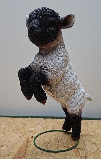 Vrolijk Springend Lammetje - Tuinbeeld Schaap - Polystone - 31cm Hoog - Realistisch Handbeschilderd - Decoratie Beeld voor Buiten & Binnen