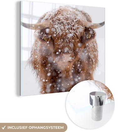MuchoWow® Glasschilderij 50x50 cm - Schilderij acrylglas - Schotse Hooglander - Horens - Sneeuw - Foto op glas - Schilderijen