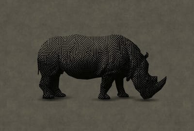 Fotobehang rhino 1 DD110501 Livingwalls Walls by Patel | Fotobehang