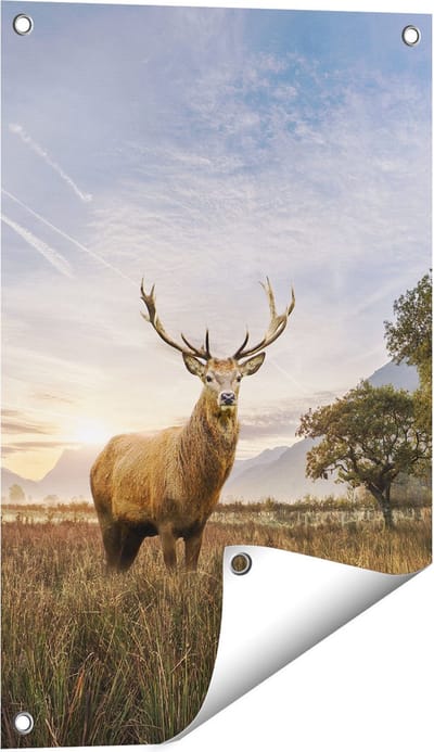 Gards Tuinposter Hert in het Landschap - 40x60 cm - Tuindoek - Tuindecoratie - Wanddecoratie buiten - Tuinschilderij