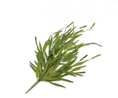 Silk-ka-vetplant-kunst-hangplant-groen