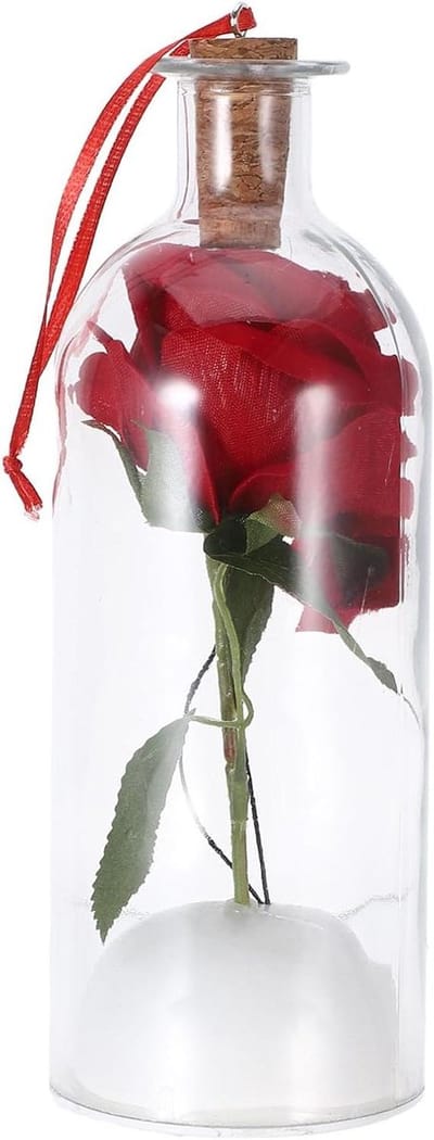 Roos in stolp - Eeuwige bloem - Persoonlijk cadeau - Opneembaar bericht - 20 cm hoog - Transparant