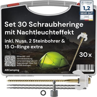 Set van 30 Stalen Schroefpinnen voor Diverse Vloertypes