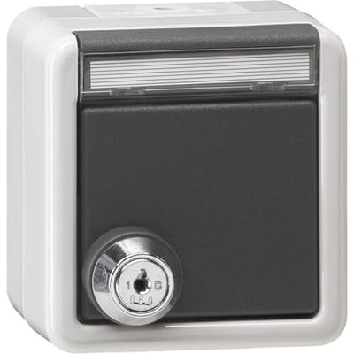Gira IP44 Buiten SCHUKO Stopcontact Met Vergrendelbare Afdekking - 456930