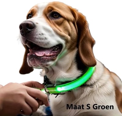 Verstelbare Halsband Voor Hond Met LED Licht I LED Honden Halsband I Nylon I Glow In Dark I Maat L (45 - 52CM) I Groen