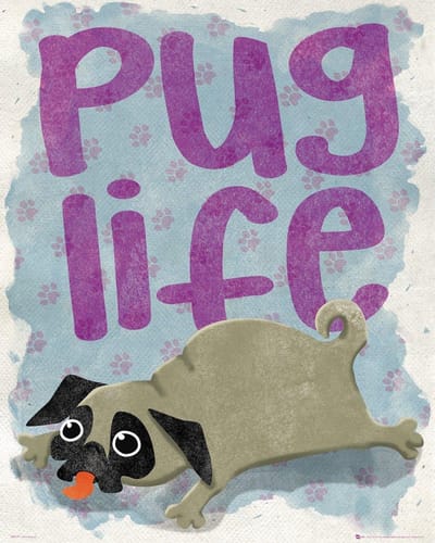 Poster - Pug Life - 50 X 40 Cm - Multicolor