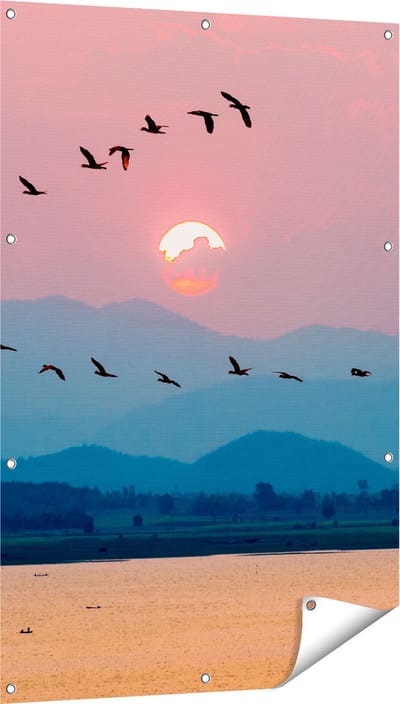 Gards Tuinposter Silhouet van Zwerm Vogels bij Zonsondergang - 80x120 cm - Tuindoek - Tuindecoratie - Wanddecoratie buiten - Tuinschilderij